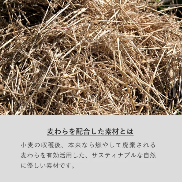 WX20240802-161713@2x.png