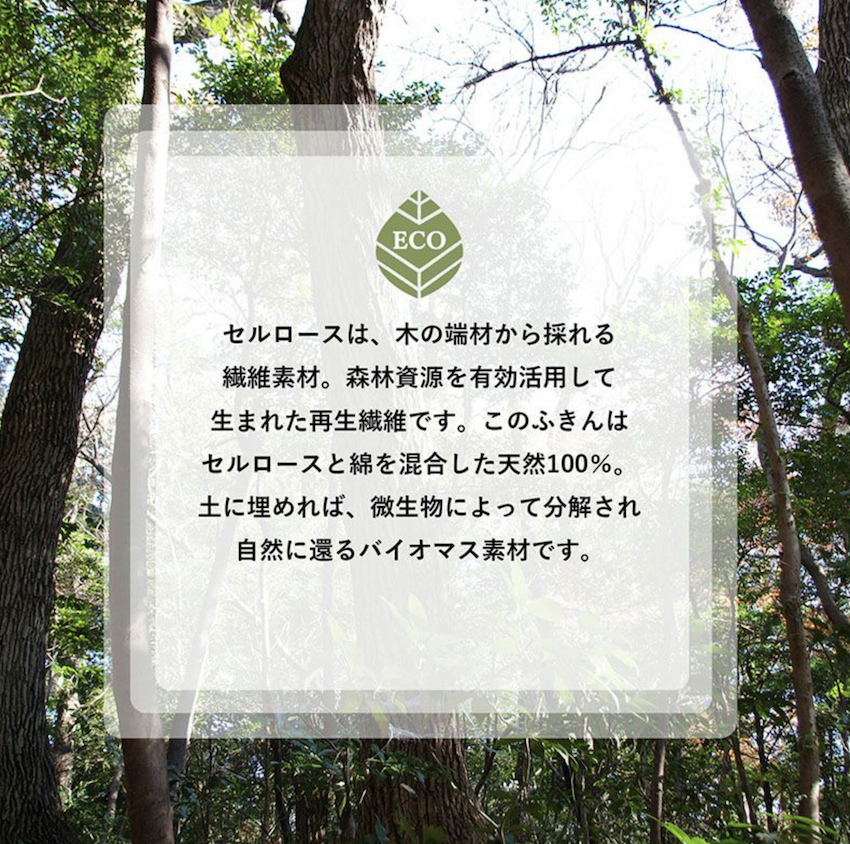 WX20240806-105942@2x.png